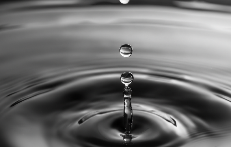 Fermentation Process