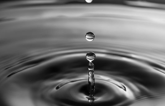 Fermentation Process