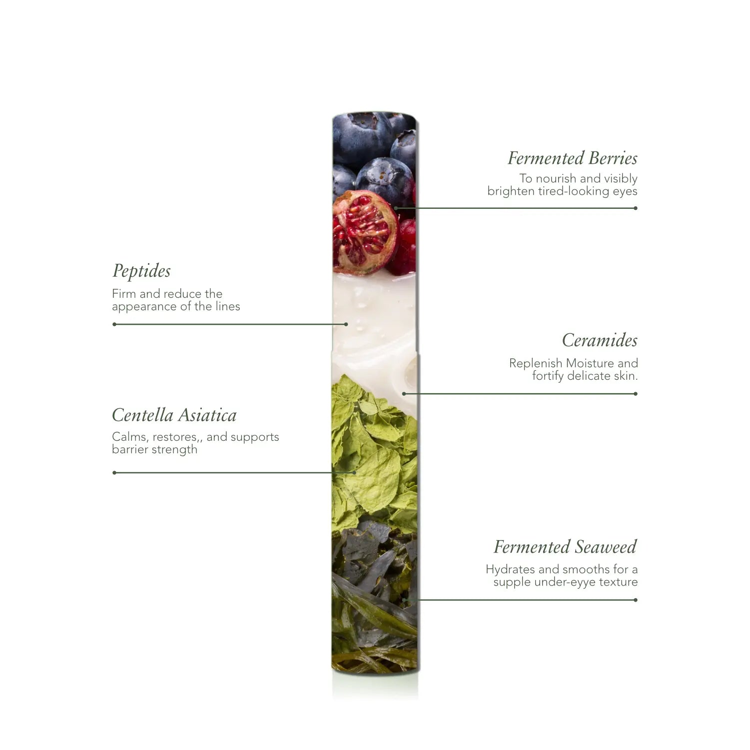 The Renewal Duo Alkylo Organics