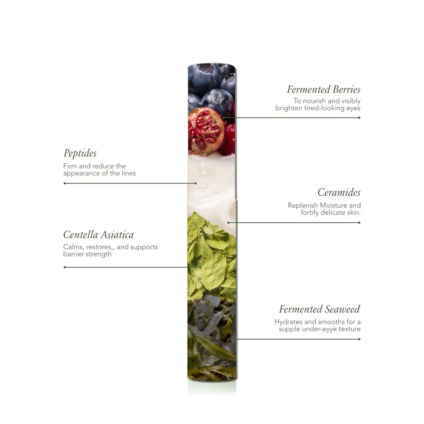 The Renewal Duo Alkylo Organics